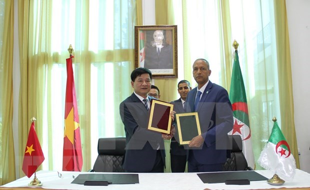 Vietnam, Algeria’s localities set up twinning ties hinh anh 1