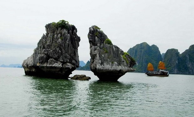 Conservation of Ha Long Bay iconic rocks to comply with world convention: Authority hinh anh 1
