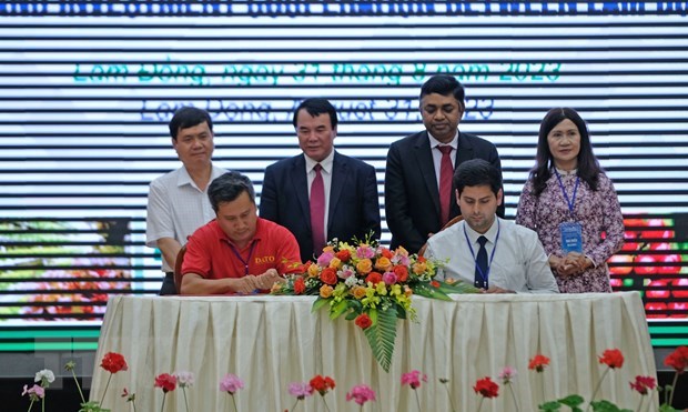 Central Highlands provinces promote trade connectivity with India hinh anh 1