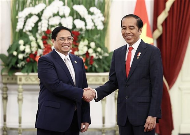 Vietnam, Indonesia eye comprehensive strategic partnership hinh anh 1
