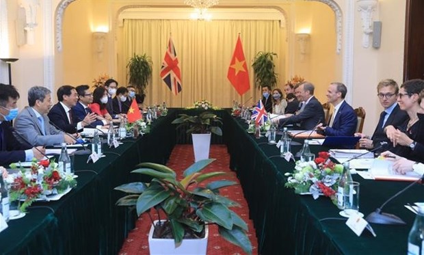 Potential for Vietnam - UK cooperation enormous: Ambassador hinh anh 2