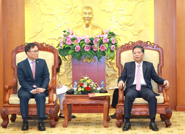 Vietnam views RoK as important, long-term strategic partner: Party official hinh anh 1