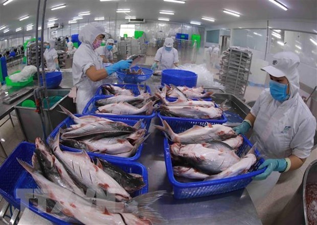 US’s anti-dumping duty review on Vietnam’s tra fish shows positive results hinh anh 1