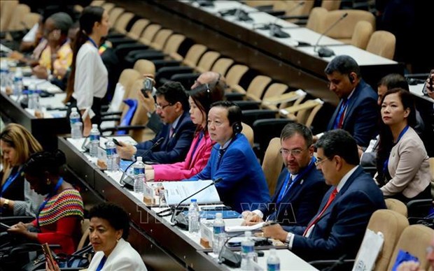 Vietnam calls for Southern development collaboration hinh anh 2