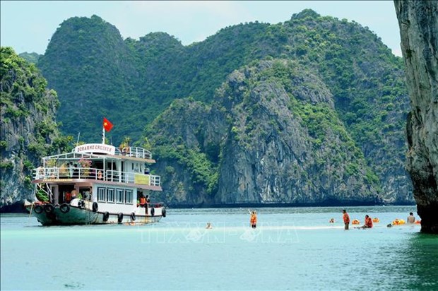 Ha Long Bay-Cat Ba Archipelago recognised as world natural heritage hinh anh 2