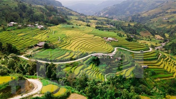 Travel programme promotes Hoang Su Phi terraced fields hinh anh 1