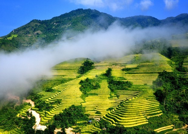 Culture Week held to celebrate 120 years of tourism in Sapa hinh anh 1