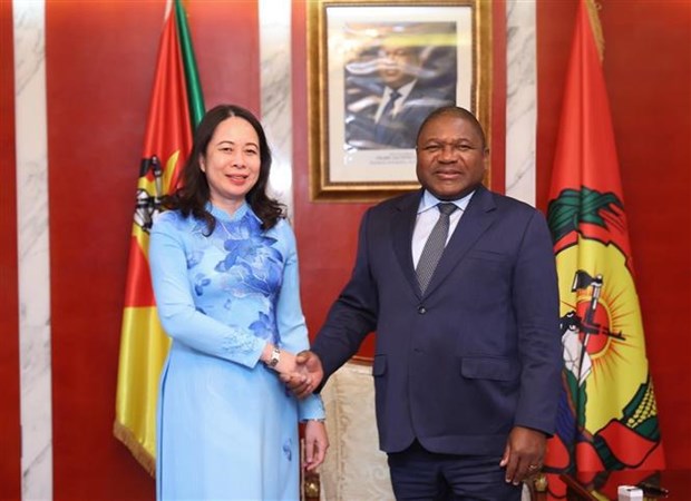 Vice President’s tour boosts bilateral relations with Mozambique, South Africa hinh anh 1