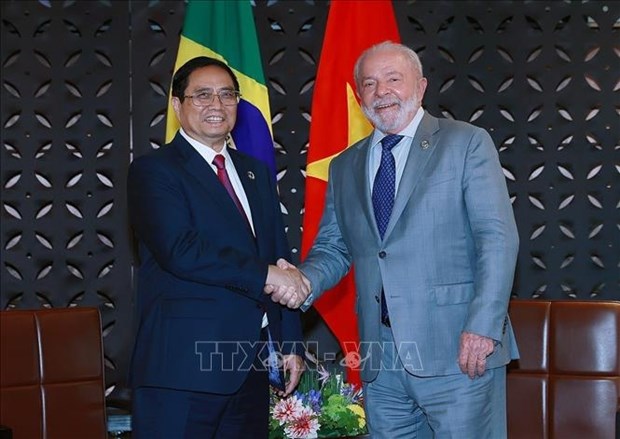 PM’s Brazil visit to open up opportunities for bilateral cooperation: Ambassador hinh anh 1