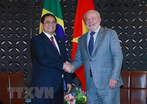 PM’s visit hoped to lift Vietnam-Brazil ties to new height: Ambassador hinh anh 1