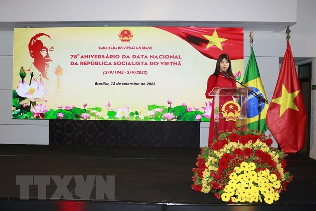 PM’s visit hoped to lift Vietnam-Brazil ties to new height: Ambassador hinh anh 2