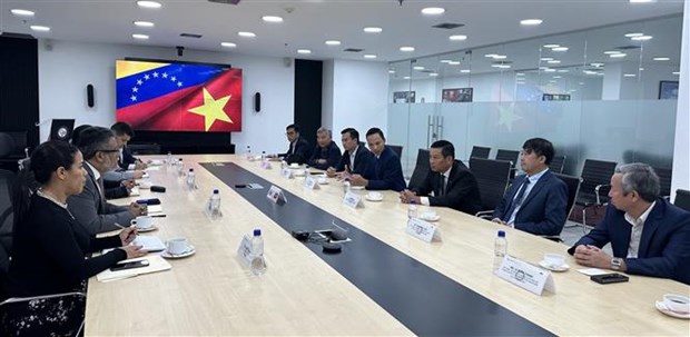Vietnamese firm eyes to make deeper inroads into Venezuela hinh anh 1