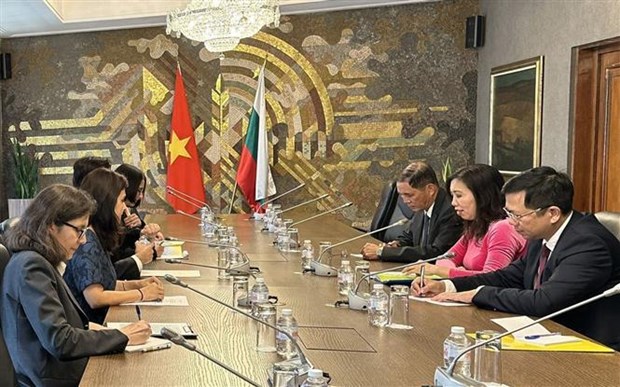 Vietnamese, Bulgarian foreign ministries to hold political consultation next year hinh anh 1