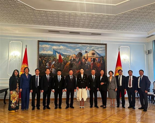 NA Vice Chairman Nguyen Khac Dinh visits Kyrgyzstan hinh anh 1