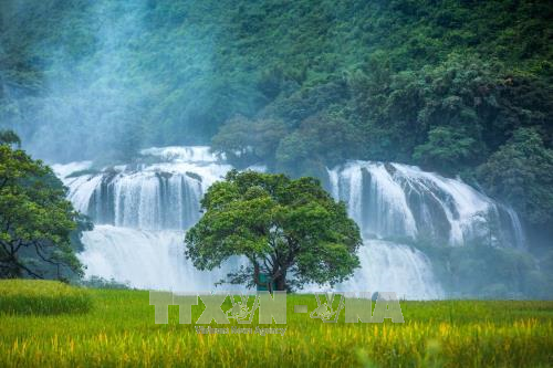 Ban Gioc Waterfall Tourism Festival 2023 opens hinh anh 1