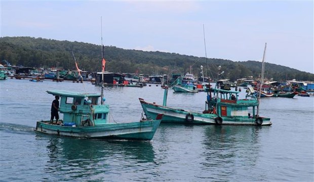 IUU combat: Changes seen in fishermen’s awareness of sustainable fisheries hinh anh 1