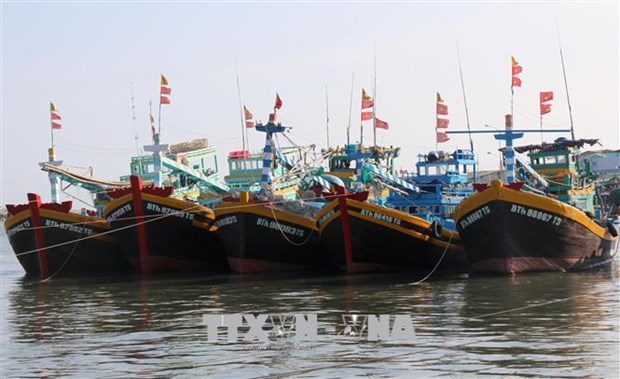 Binh Thuan closely monitors vessel fleet to fight IUU fishing hinh anh 1