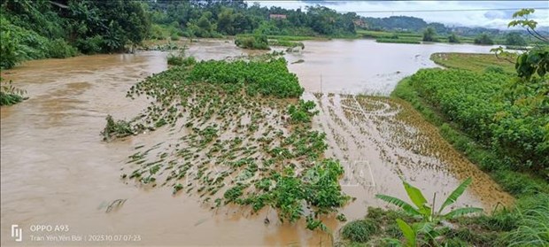 Four died, one missing due to heavy rain, floods in northern provinces hinh anh 1