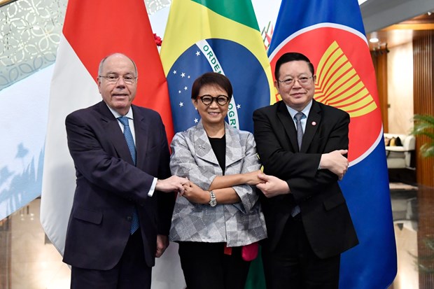 ASEAN Secretariat, Indonesia, Brazil boost collaboration hinh anh 1