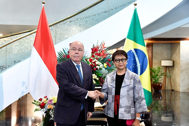 Indonesia calls on Brazil to invest in cattle breeding hinh anh 1