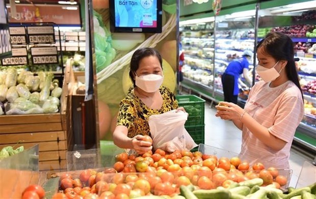 Deputy PM: price control in nine months effective hinh anh 1