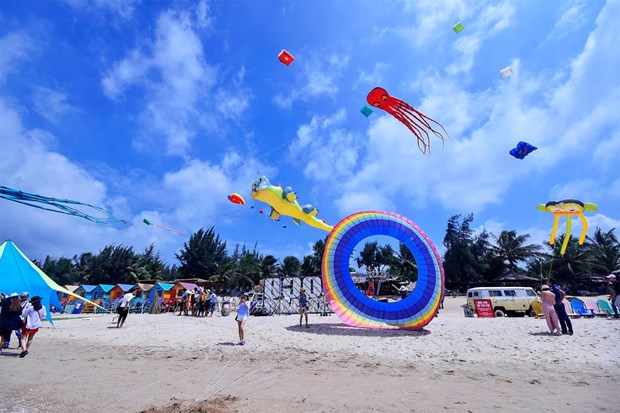 Binh Thuan to set Guinness record for Vietnam's largest kite hinh anh 1