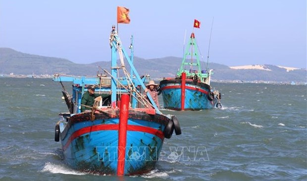 Ministry inspects IUU, disaster prevention in Phu Yen hinh anh 1
