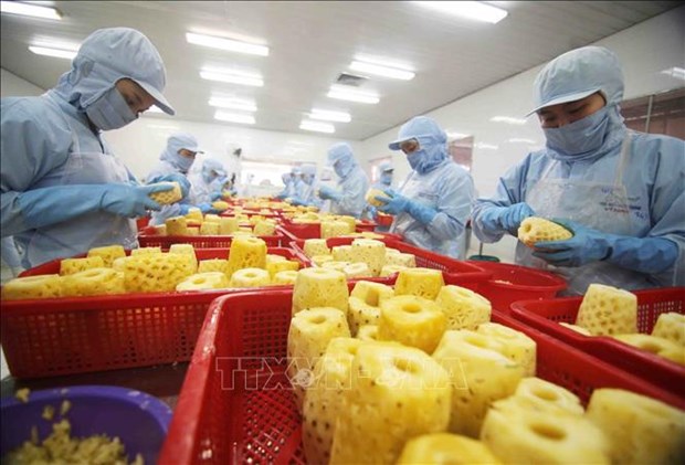 Fruit, vegetable exports predicted to top 5.5 billion USD hinh anh 2