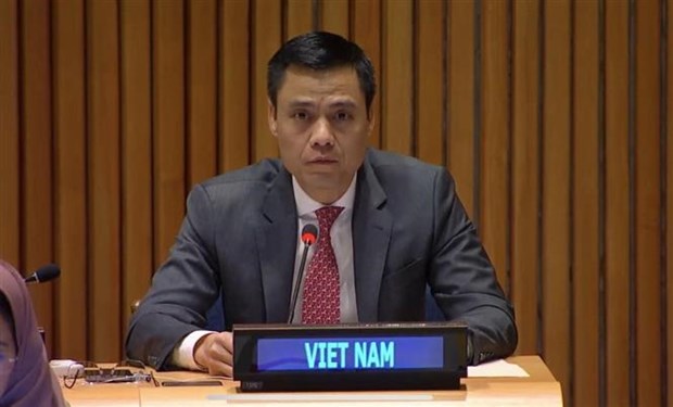 Vietnam backs promotion of international cooperation in human rights: Diplomat hinh anh 2