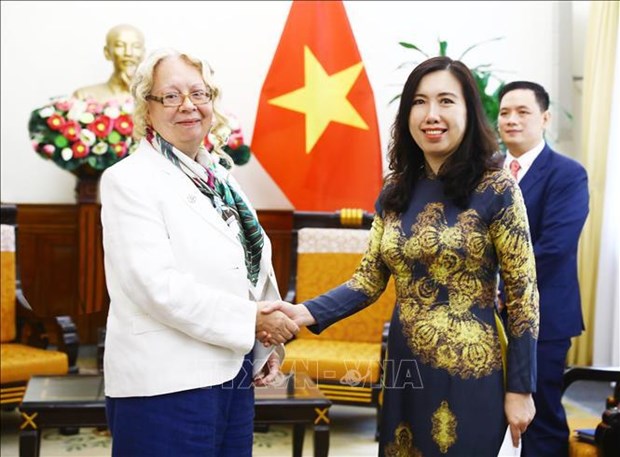 Vietnam to contribute more to UN, int’l organisations: official hinh anh 1