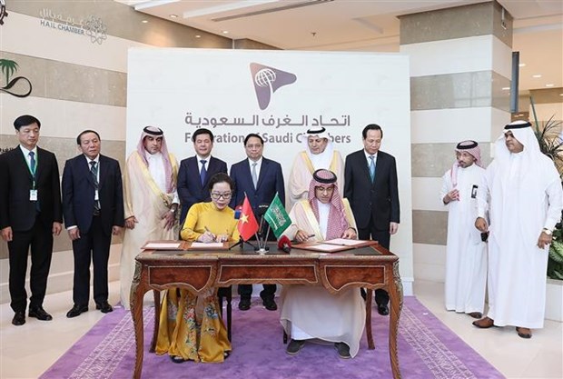 PM attends Vietnam-Saudi Arabia Business Forum in Riyadh hinh anh 3