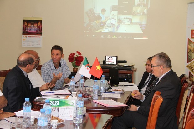 Vietnamese, Algerian companies explore partnership chances hinh anh 1