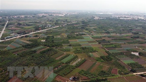 Results of land area statistics for 2022 announced hinh anh 1