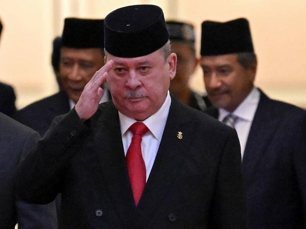 Sultan Ibrahim of Johor chosen to be next Malaysia’s King hinh anh 1