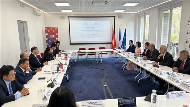 Nam Dinh promotes trade, investment with French businesses hinh anh 1