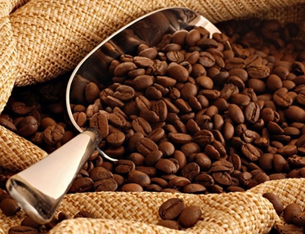 Indonesia promotes coffee exports to Qatar hinh anh 1