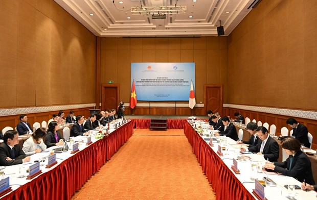Vietnam, Japan strengthen ties in industry, trade, energy hinh anh 2