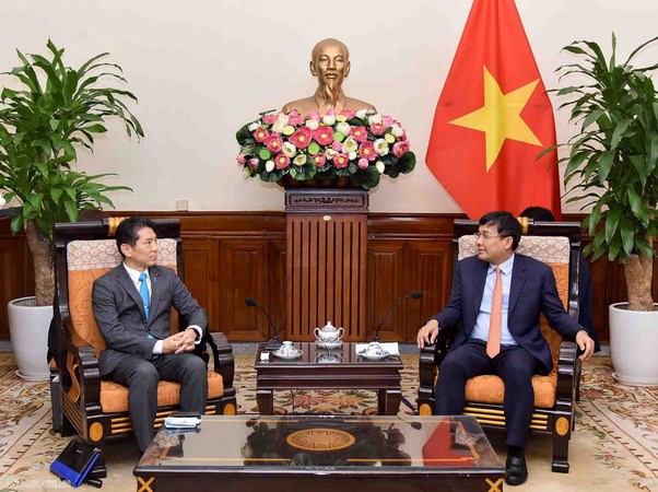 Vietnam considers Japan long-term, important partner: official hinh anh 1