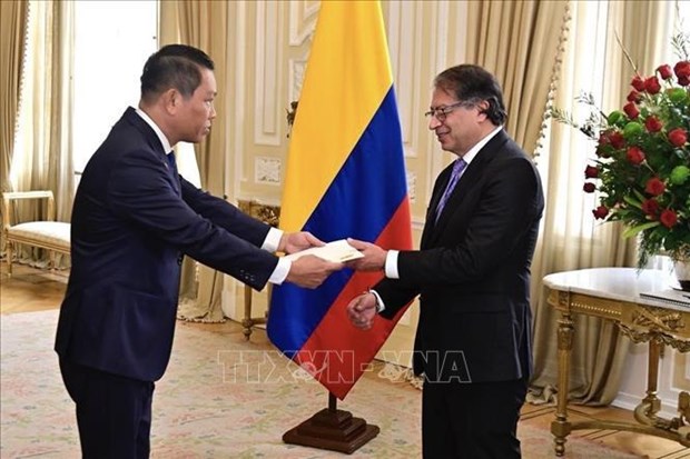Vietnam urged to open diplomatic representative agency in Colombia hinh anh 1