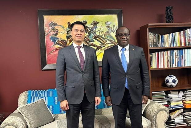 Vietnam, Ghana to forge multi-faceted cooperation hinh anh 1