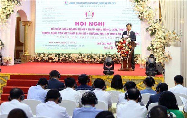 Vietnamese, Chinese provinces beef up cross-border trade hinh anh 1