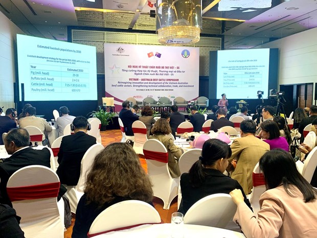 Symposium highlights Vietnam-Australia cooperation on cattle raising hinh anh 1