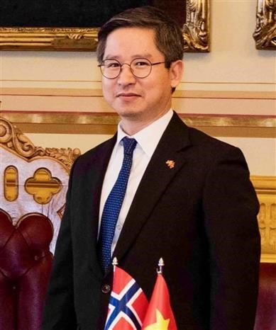 Vice President’s visit hoped to promote ties with Norway: Ambassador hinh anh 2