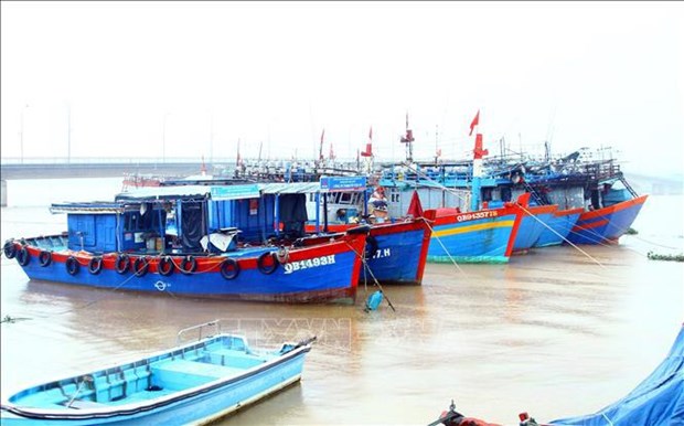 Quang Binh takes drastic measures to fight IUU fishing hinh anh 1