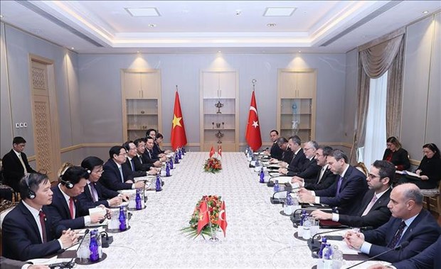 Vietnam, Turkiye agree to work for 4 billion USD in two-way trade hinh anh 2
