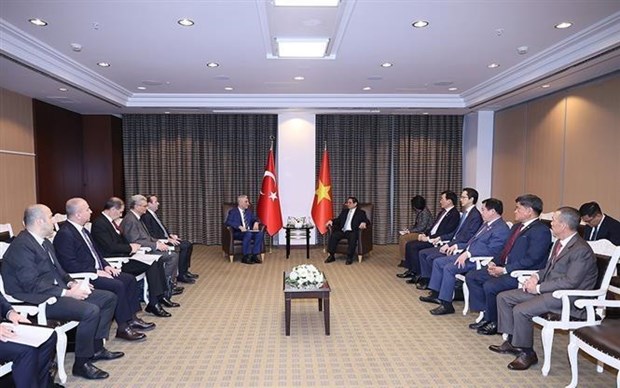 Turkiye considers Vietnam top priority economic partner in Asia-Pacific: Minister hinh anh 2