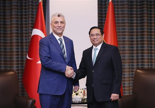 Turkiye considers Vietnam top priority economic partner in Asia-Pacific: Minister hinh anh 1