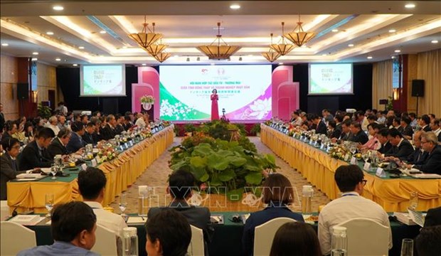 Dong Thap calls for investment from Japan hinh anh 1