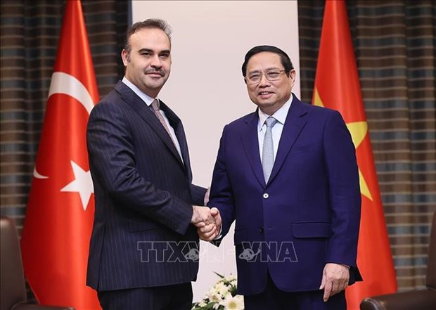 Prime Minister hosts Turkish finance, industry ministers hinh anh 2