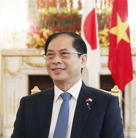 President’s Japan visit yields comprehensive outcomes: FM hinh anh 2